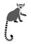 Cute funny ring-tailed lemur sitting. Exotic Lemur catta. Vector illustration in cartoon and flat style