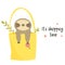 Cute funny sloth sitting in a shopping bag.