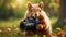 Cute funny squirrel a camera fluffy creative photographer playful adorable photo