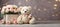 Cute funny teddy bear toy, with a gift box a bow, with bouquets of peony flowers flowers