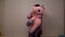 Cute and funny transgender person holding a pink stuffed unicorn and cuddling, LGBT diversity, person with autism and