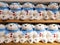 Cute and funny white bear Cute and funny kids toys on shelf