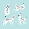Cute funny white spotted dogs on the blue background. Dalmatian card design.