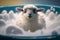 Cute and Funny Woolen Sheep in a Bathtub with Lots of Bubbles on Bath Day