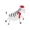 Cute and funny zebra horse wearing Santa hat for Christmas