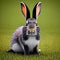 Cute furry easter rabbit on green grass, adorable fluffy pet bunny, baby mammal illustration, generative ai