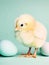 Cute fuzzy baby chick with Easter eggs greeting card