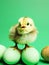 Cute fuzzy baby chick with Easter eggs greeting card