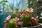 Cute garden with blooming petunias on the balcony. Colorful flowers