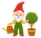 Cute garden gnome, gardener dwarf hold watering can. Small gardening fairytale elf watering plant. Magic old man character. Vector