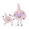 Cute garlic characters with emotions, face. Funny grandmother with glasses and dancing grandson with arms and legs. The