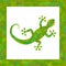 Cute gecko lizard with green scale textured skin