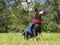 Cute German Pinscher in his Fall Outfit