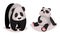 Cute Giant Panda Bear as Carnivore Forest Animal Vector Illustration