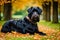 Cute Giant Schnauzer. Portrait of a beautiful Giant Schnauzer dog in the park. Generative AI