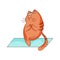 Cute Ginger Cat Character with Striped Tail Doing Yoga on Mat Vector Illustration