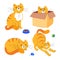 Cute ginger cat - flat design style set of characters