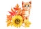 Cute ginger cat, leaves maple and flowers sunflowers, watercolor hand drawing. Autumn poster, Happy animal