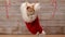 Cute ginger cat sitting in a santa hat - static c