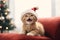 Cute ginger cat wearing santa hat meowing with Christmas tree on background, Christmas and kitten concept. Generative AI