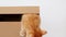 Cute Ginger Kitten in a Cardboard Box. Curious Funny Striped Red Cat Hiding in Box.