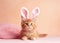 cute ginger kitten with ears bunny, on pink background, Easter concept