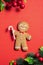 Cute Gingerbread man