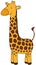 Cute Giraffe