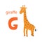 Cute giraffe card. Alphabet with animals. Colorful design for teaching children the alphabet, learning English. Vector