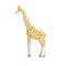 Cute giraffe cartoon vector illustration.