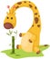 Cute giraffe eating bamboo