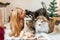 Cute girl with blond long hair plays with small Malamute puppies at home