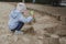 Cute girl builds sand cakes at a playground