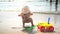 Cute girl with curly blond hair playing with sand ant toy cart on sea shore