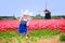 Cute girl in Dutch costume in tulips field with windmill