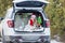 Cute girl is getting ready for Christmas, girl with shih tzu dog girl with a dog sitting in a decorated New Year`s car in forest