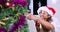 Cute girl and grandfather preparing Christmas tree