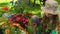 Cute girl holding a pot of flowers in the garden