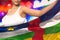 cute girl holds Central African Republic flag in front on the party lights - flag concept 3d illustration