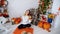 Cute Girl Posing With Pumpkins, Smiling and Sitting on Floor in Bright Room on