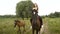 Cute girl riding astride beautiful Brown horse