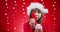 Cute girl in a santa hat holds a gift on a red christmas background