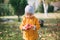 Cute girl in a yellow jacket collects red apples in the autumn garden