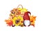 Cute gnome, sunflower, pumpkin, maple leaves. Basket with autumn fruits, vegetables, flowers, nuts. Hand painted