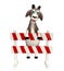 Cute Goat cartoon character with baracades