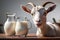 cute goat looking at fresh milk in a glass