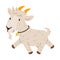 Cute goat walking character cartoon