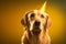 Cute gold retriever dog wearing birthday hat on yellow background