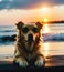 Cute golden labrador retriever at sandy tropical ocean beach in sunset, generative ai