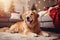 Cute golden retriever dog on carpet. Family relax time. Winter Christmas holidays. Atmospheric moments lifestyle